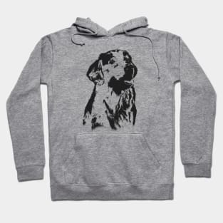 Golden Retriver Hoodie